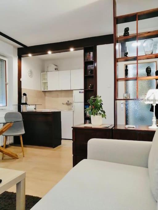 Appartement Dorcol Hideaway à Belgrade Extérieur photo